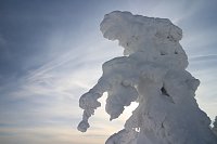 Bild: Mit der HSB auf den Brocken