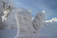 Bild: Mit der HSB auf den Brocken
