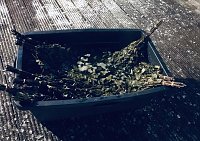 Bild: PolarNacht war voller Erfolg