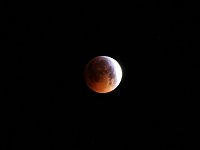 Bild: Mondfinsternis am 21. Januar 2019
