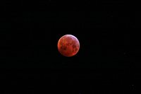 Bild: Mondfinsternis am 21. Januar 2019