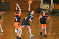 Der Handball-Nachwuchs beim NSV Bild: Der Handball-Nachwuchs beim NSV