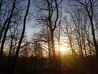 Bild: Sonne, Mond und Sterne