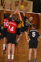 Der Handball-Nachwuchs beim NSV Bild: Der Handball-Nachwuchs beim NSV