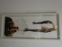 Bild: Tina Wohlfarths Sichtfeld