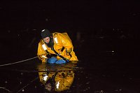 Bild: Aus eiskalten Fluten gerettet