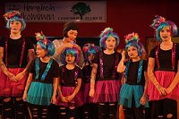 Bild: Karneval in Ellrich