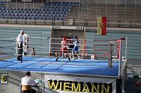 Bild: Kinder und Jugend Box Turnier