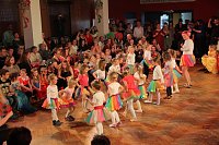 Kinderkarneval in Ellrichs Narrhalla Bild: Kinderkarneval in Ellrichs Narrhalla