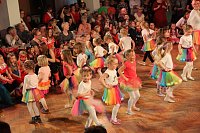 Kinderkarneval in Ellrichs Narrhalla Bild: Kinderkarneval in Ellrichs Narrhalla