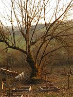 Die Natur vor unserer Tür Bild: Die Natur vor unserer Tür