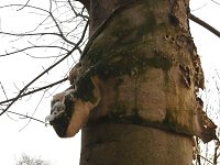 Die Natur vor unserer Tür Bild: Die Natur vor unserer Tür