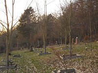 Die Natur vor unserer Tür Bild: Die Natur vor unserer Tür