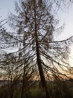 Die Natur vor unserer Tür Bild: Die Natur vor unserer Tür