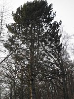 Die Natur vor unserer Tür Bild: Die Natur vor unserer Tür