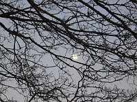 Die Natur vor unserer Tür Bild: Die Natur vor unserer Tür