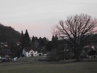 Die Natur vor unserer Tür Bild: Die Natur vor unserer Tür