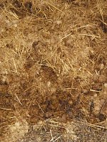 Die Natur vor unserer Tür Bild: Die Natur vor unserer Tür