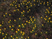 Die Natur vor unserer Tür Bild: Die Natur vor unserer Tür
