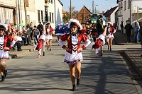 Großer Festumzug in Werther Bild: Großer Festumzug in Werther