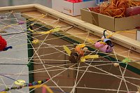 Bild: Lange Nacht der Wissenschaften am Herder Gymnasium