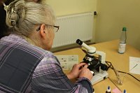 Bild: Lange Nacht der Wissenschaften am Herder Gymnasium