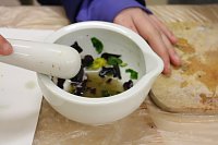 Bild: Lange Nacht der Wissenschaften am Herder Gymnasium