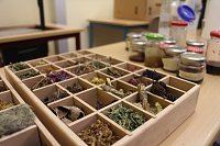 Bild: Lange Nacht der Wissenschaften am Herder Gymnasium