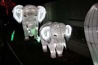 Bild: Lichtershow im Bergzoo Halle