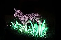 Bild: Lichtershow im Bergzoo Halle
