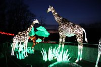 Bild: Lichtershow im Bergzoo Halle