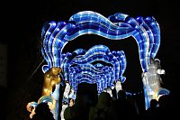 Bild: Lichtershow im Bergzoo Halle