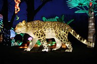 Bild: Lichtershow im Bergzoo Halle