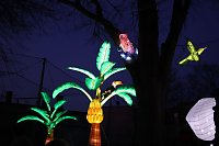 Bild: Lichtershow im Bergzoo Halle
