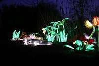 Bild: Lichtershow im Bergzoo Halle