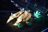 Bild: Lichtershow im Bergzoo Halle