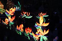 Bild: Lichtershow im Bergzoo Halle