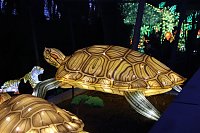 Bild: Lichtershow im Bergzoo Halle