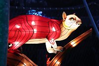 Bild: Lichtershow im Bergzoo Halle