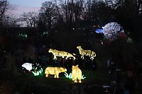 Bild: Lichtershow im Bergzoo Halle
