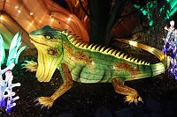 Bild: Lichtershow im Bergzoo Halle