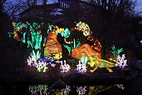 Bild: Lichtershow im Bergzoo Halle