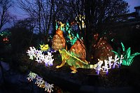 Bild: Lichtershow im Bergzoo Halle