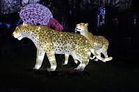 Bild: Lichtershow im Bergzoo Halle