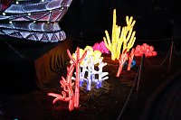 Bild: Lichtershow im Bergzoo Halle
