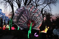 Bild: Lichtershow im Bergzoo Halle