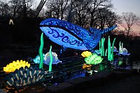 Bild: Lichtershow im Bergzoo Halle