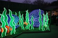 Bild: Lichtershow im Bergzoo Halle