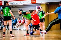 Bild: Erfolgreiches Handball-Wochenende