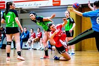 Bild: Erfolgreiches Handball-Wochenende